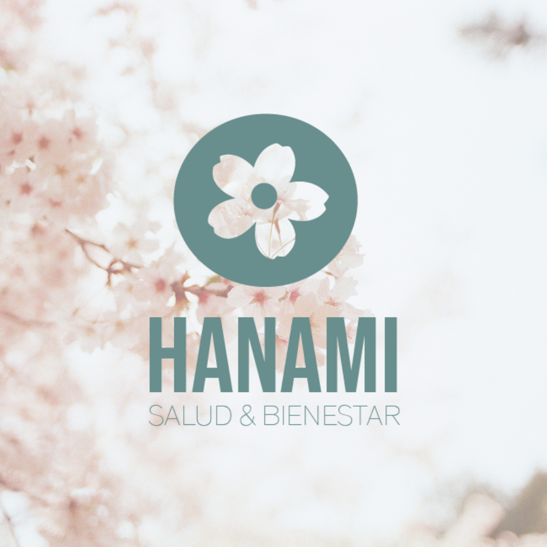 Logo HANAMI